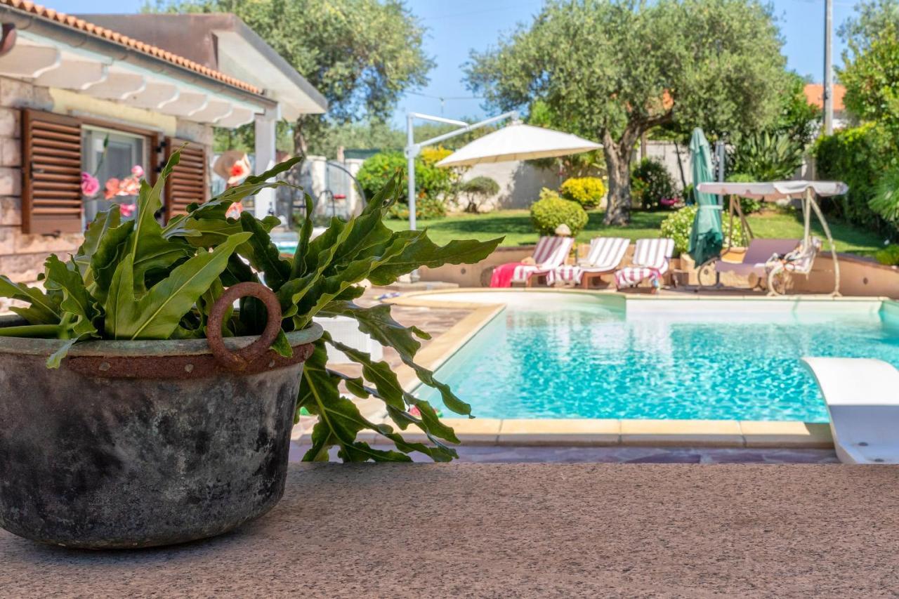 Villa Sunflower Alghero Exterior photo